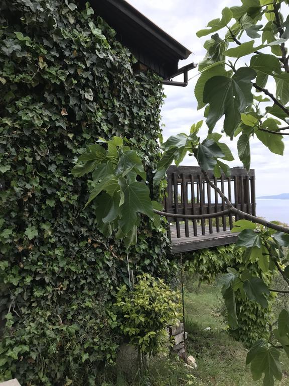 Charismatic Garden Cottage With Sea View Lokva Rogoznica Ngoại thất bức ảnh